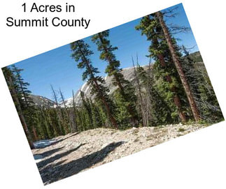 1 Acres in Summit County