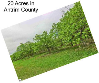 20 Acres in Antrim County