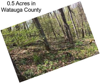 0.5 Acres in Watauga County
