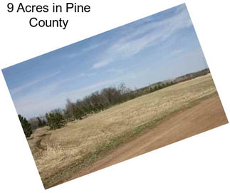 9 Acres in Pine County