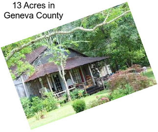 13 Acres in Geneva County