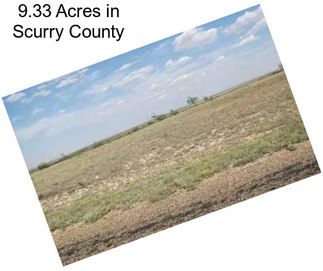 9.33 Acres in Scurry County