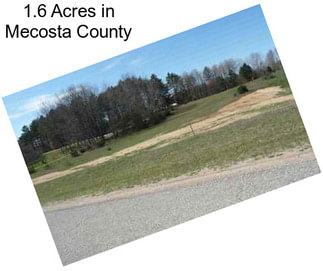 1.6 Acres in Mecosta County