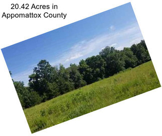 20.42 Acres in Appomattox County