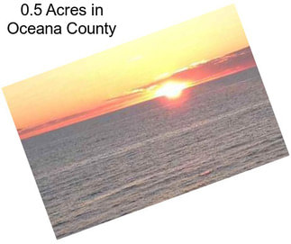 0.5 Acres in Oceana County