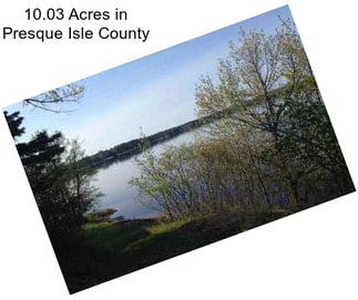 10.03 Acres in Presque Isle County