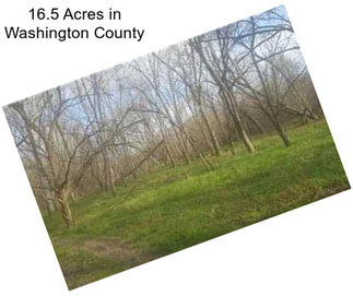 16.5 Acres in Washington County
