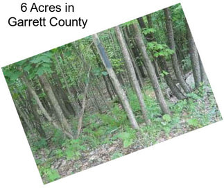 6 Acres in Garrett County