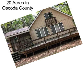 20 Acres in Oscoda County