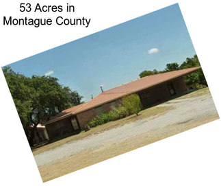 53 Acres in Montague County