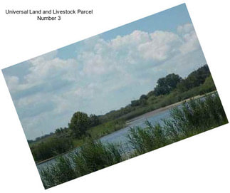 Universal Land and Livestock Parcel Number 3