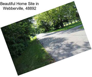 Beautiful Home Site in Webberville, 48892