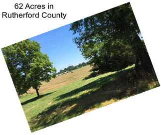 62 Acres in Rutherford County