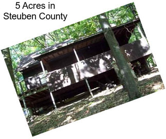 5 Acres in Steuben County