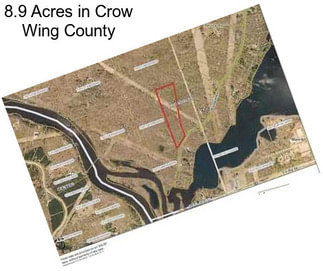 8.9 Acres in Crow Wing County