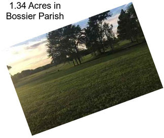 1.34 Acres in Bossier Parish