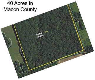 40 Acres in Macon County