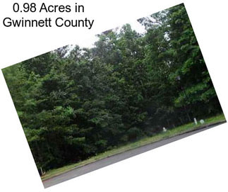 0.98 Acres in Gwinnett County