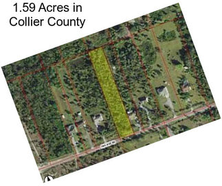 1.59 Acres in Collier County