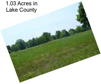 1.03 Acres in Lake County