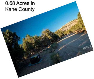 0.68 Acres in Kane County