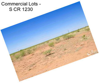 Commercial Lots - S CR 1230