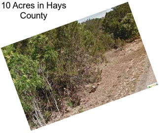 10 Acres in Hays County