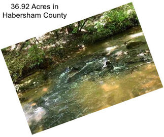 36.92 Acres in Habersham County