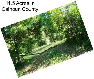11.5 Acres in Calhoun County
