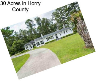 30 Acres in Horry County