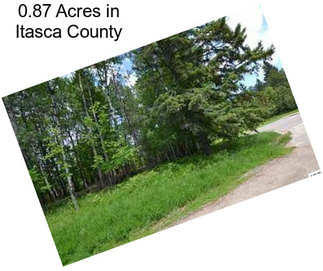 0.87 Acres in Itasca County