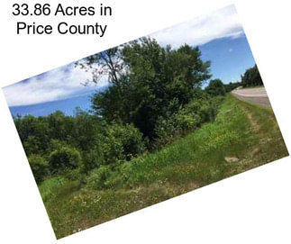 33.86 Acres in Price County
