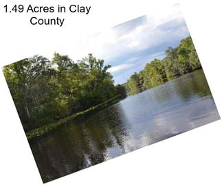 1.49 Acres in Clay County