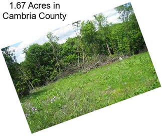 1.67 Acres in Cambria County