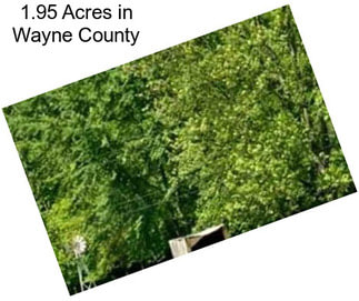 1.95 Acres in Wayne County