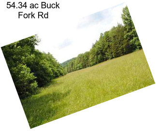 54.34 ac Buck Fork Rd