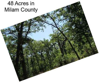 48 Acres in Milam County