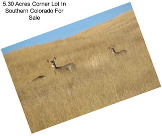 5.30 Acres Corner Lot In Southern Colorado For Sale