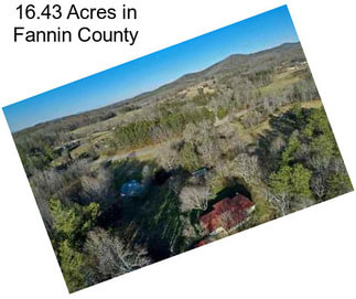 16.43 Acres in Fannin County