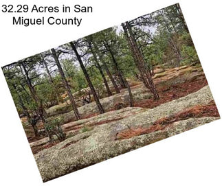 32.29 Acres in San Miguel County