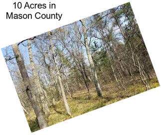 10 Acres in Mason County