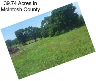 39.74 Acres in McIntosh County