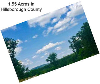 1.55 Acres in Hillsborough County
