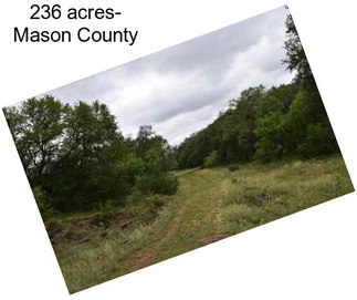 236 acres- Mason County