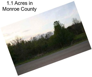 1.1 Acres in Monroe County