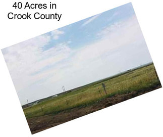 40 Acres in Crook County
