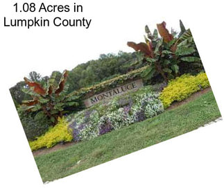 1.08 Acres in Lumpkin County