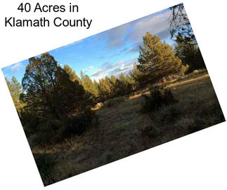 40 Acres in Klamath County