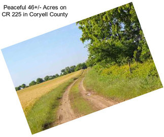 Peaceful 46+/- Acres on CR 225 in Coryell County