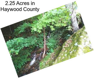 2.25 Acres in Haywood County